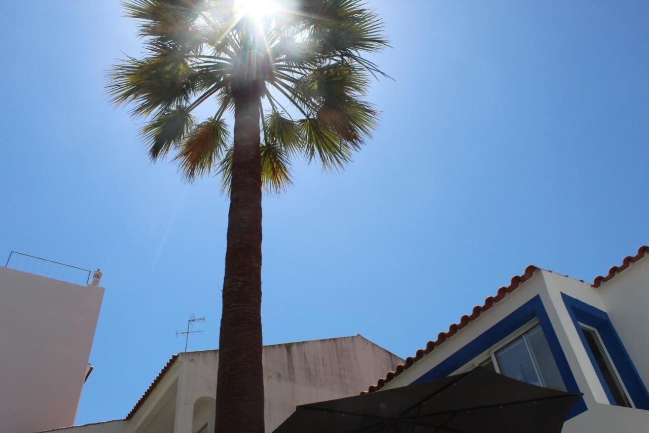 Lovelystay - Casa Palmeira Azul Καρβοέιρο Εξωτερικό φωτογραφία